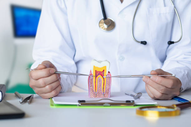 Best Emergency Dentist for Lost Fillings or Crowns in Alma, GA